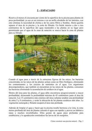 2 – ESPACIADO
Reserva al menos el cincuenta por ciento de la superficie de tu piscina para plantas de
poca profundidad, ya sea en un extremo o en un anillo alrededor de los laterales, con
esto eliminas la necesidad de clorina y de los caros filtros y bombas. Ahora querrás
separar el área de tu piscina y la zona de filtrado. Un borde interior a dos o tres
centímetros de la superficie del agua mantendrá a las plantas en su lugar pero
permitiendo que el agua de la zona de natación se mueva hacia la zona de plantas
para su filtrado.
Cuando el agua pasa a través de la estructura figrosa de las raíces, las bacterias
concentradas en las raíces de las plantas actúan como un filtro biológico, eliminando
los contaminantes y los excesos de nutrientes en el agua. Los organismos
descomponedores, que también se encuentran en las raíces de las plantas, consumen
las bacterias eliminando la acumulación de residuos en el agua.
Dentro del área para las plantas, el agua debe encontrarse progresivamente a mayor
profundidad, alcanzando la profundidad máxima de 45 centímetros junto al área de
natación. Los 15 centímetros más externos del área e plantas tendrán una profundidad
de entre 5 y 8 centímetros, y serán la ubicación de las plantas acuáticas más altas. La
vegetación sumergida y flotante ocupará el área más profunda.
Además de limpiar el agua y hacer que tu piscina resulte hermosa a la vista, la zona
menos profunda del área de plantas calienta el agua con rapidez y provee un hábitat a
ranas y muchos invertebrados. Ellos gustan de aguas poco profundas para
establecerse y lo agradecerán comiéndose las larvas de los moquitos.
Cómo construir una piscina natural – Pág. 3
 