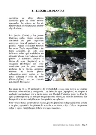 5 – ELEGIR LAS PLANTAS
Asegúrate de elegir plantas
adecuadas para tu clima. Puedes
aprovechar las ofertas de fin de
temporada en los viveros para ahorrar
algo de dinero.
Las juncias (Carex) y los juncos
(Scirpus), ambas plantas acuáticas,
confornab una gran vegetación
emergente para el perímetro de tu
piscina. Puedes considerar también
las aneas (Typha angustifolia) y los
lirios acuáticos, en todo caso
infórmate sobre qué variedades no
atestarán el área reservada para otras
plantas. La pontederia cordata, la
flecha de agua (Sagittaria) y la
onagraria (Ludwigia) son todas
candidatas para la parte menos
profunda de tu piscina. Asegúrate
también de incluir plantas
subacuáticas como puedan ser las
yanas (Elodea) y colas de zorro
(Ceratophyllum) por su elevada
generación de oxígeno.
En aguas de 15 a 45 centímetros de profundidad, coloca una mezcla de plantas
flotantes, subacuáticas y emergentes. Los lirios de agua (Nymphaea) se adaptan a
cualquier profundidad, por lo tanto úsalos con libertad. Flotantes, como las lilas de
agua (Potamogeton) y las lentejas de agua (Lemna minor), se mueven libremente por
la superficie y cubren rápidamente la superficie para plantas.
Una vez que hayas comprado tus plantas, puedes plantarlas en la piscina llena. Cíñete
a un plan, agrupando las plantas de acuerdo a su altura y tipo. Coloca tus plantas
sobre el suelo, fijándolas con toda la grava que necesites.
Cómo construir una piscina natural – Pág. 7
 