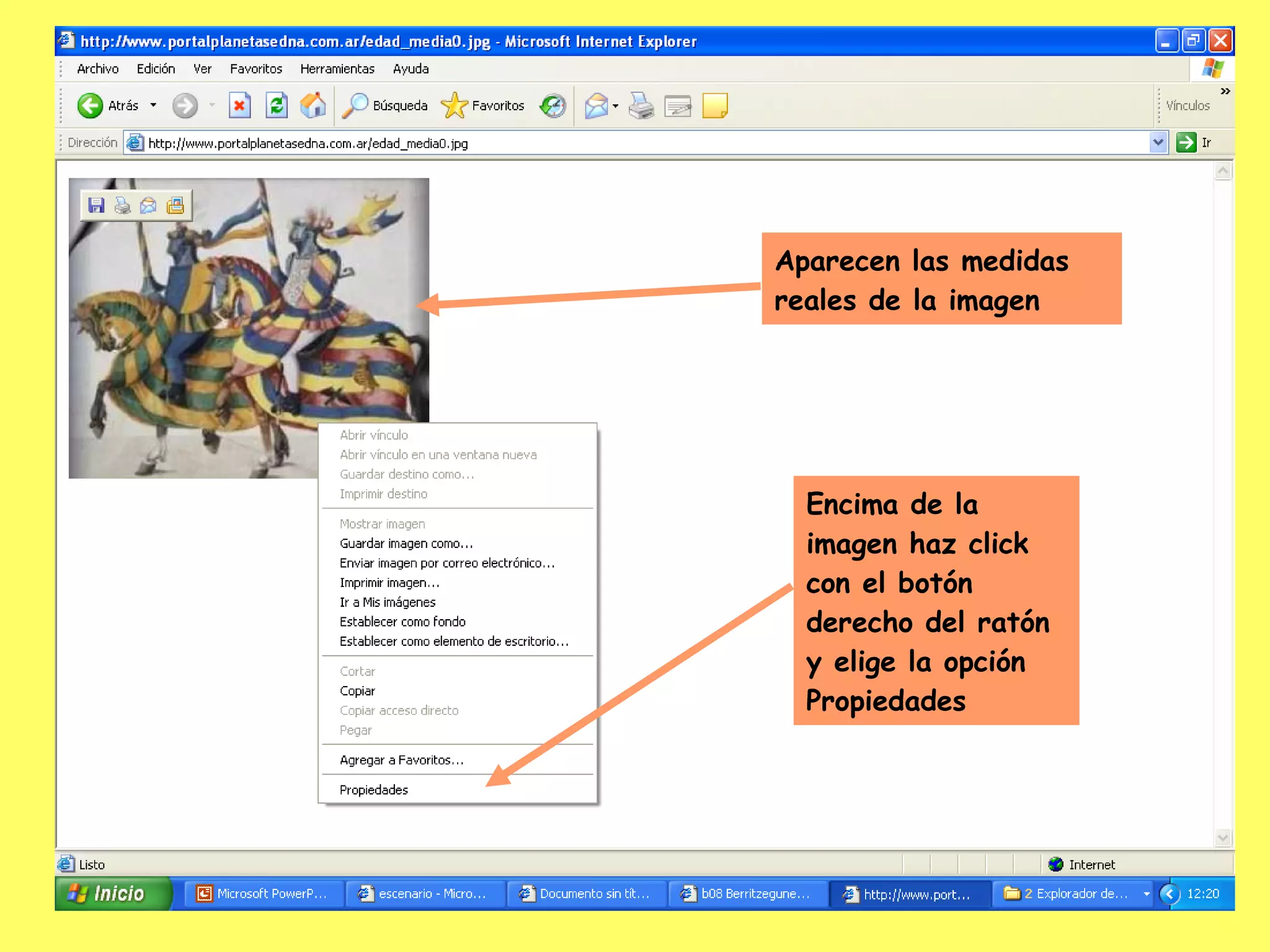 Aparecen las medidas reales de la imagen Encima de la imagen haz click con el botón derecho del ratón y elige la opción Propiedades 