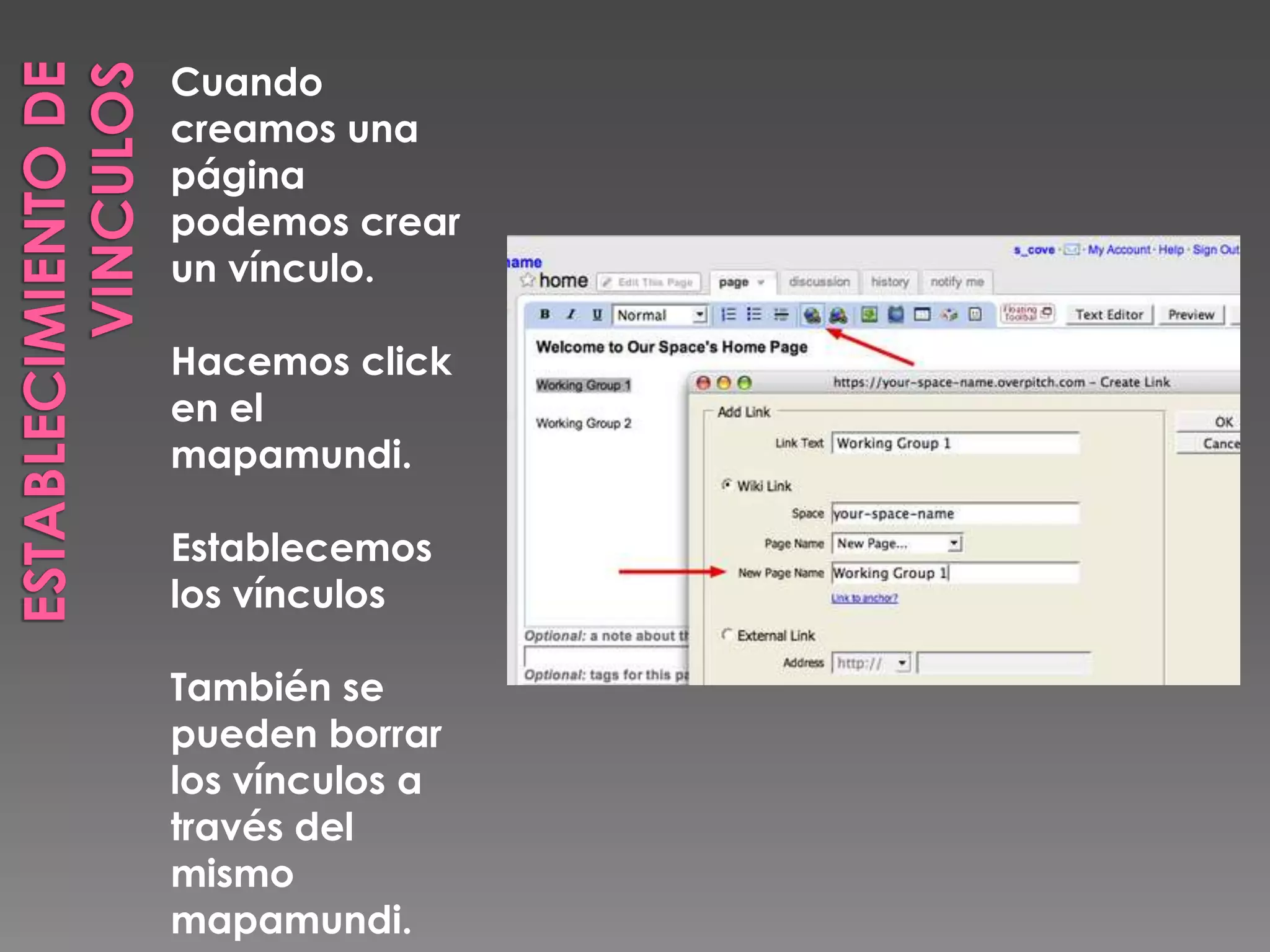 ESTABLECIMIENTO DE VINCULOSCuando creamos una página podemos crear un vínculo.Hacemos click en el mapamundi.Establecemos los vínculos También se pueden borrar los vínculos a través del mismo mapamundi.