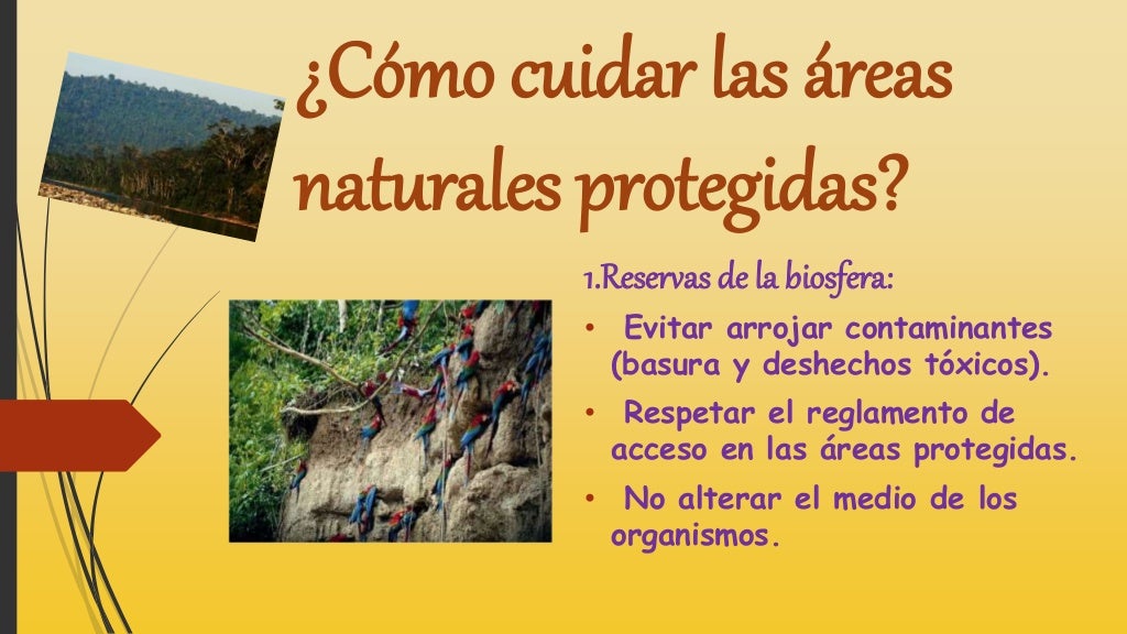 Reflexion Sobre Las Areas Naturales Protegidas