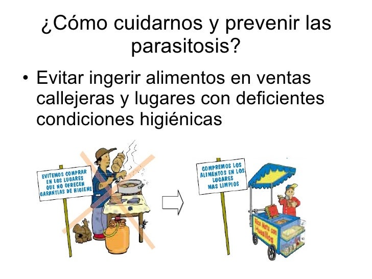 Resultado de imagen para NORMAS DE CUIDADO QUE DEBERÃAMOS TOMAR EN CUENTA PARA EVITAR ENFERMEDADES PARASITARIAS