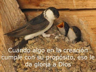 Cuando algo en la creación cumple con su propósito, eso le da gloria a Dios