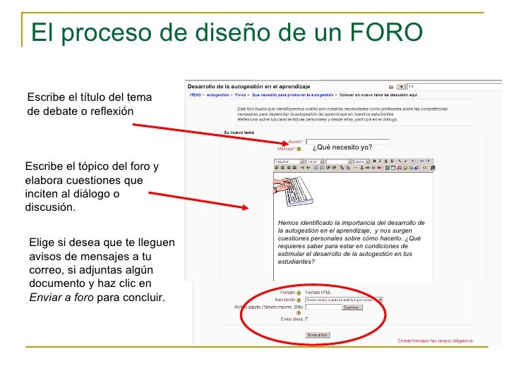 Cómo Diseñar Un Foro