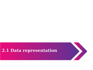 2.1 Data representation
 