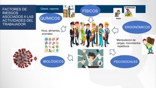 QUÍMICOS
FÍSICOS
Gases, vapores
Virus, alimentos,
animales
Manipulación de
cargas, movimientos
repetitivos
BIOLÓGICOS
ERGONÓMICOS
PSICOSOCIALES
FACTORES DE
RIESGOS
ASOCIADOS A LAS
ACTIVIDADES DEL
TRABAJADOR
 