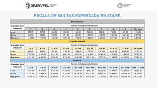ESCALA DE MULTAS EXPRESADA EN SOLES
 