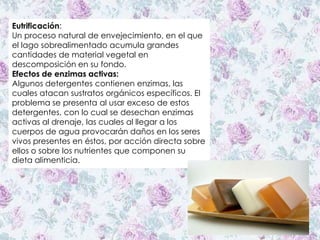 Eutrificación:
Un proceso natural de envejecimiento, en el que
el lago sobrealimentado acumula grandes
cantidades de material vegetal en
descomposición en su fondo.
Efectos de enzimas activas:
Algunos detergentes contienen enzimas, las
cuales atacan sustratos orgánicos específicos. El
problema se presenta al usar exceso de estos
detergentes, con lo cual se desechan enzimas
activas al drenaje, las cuales al llegar a los
cuerpos de agua provocarán daños en los seres
vivos presentes en éstos, por acción directa sobre
ellos o sobre los nutrientes que componen su
dieta alimenticia.
 