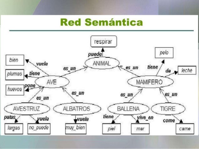 Cómo elaborar mapas conceptuales