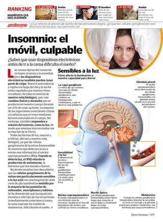 El hombre
Varía de una
persona a otra,
pero suelen ser
unas ocho horas
cada noche.
2. PROMEDIO Koalas
Los koalas son de
los más
dormilones, con
unas 15 horas de
sueño al día.
3. EL QUE MÁS
Cómo afecta la iluminación a
nuestra capacidad para dormir
La capa ganglionar
La retina del ojo contiene
una capa de células
fotosensibles
ganglionares, que
contiene un
fotopigmento
melanopsina, y que se
llama la capa ganglionar.
Sensibles a la luz
L
as causas típicas del insomnio
incluyen el estrés y la ansiedad,
pero los dispositivos
electrónicos también pueden tener
parte de culpa. Nuestra somnolencia
y vigilia a lo largo del día y la noche
están reguladas por nuestro ritmo
circadiano. Se trata en esencia de
nuestro reloj biológico, que crea
cambios físicos y mentales que se
producen en nuestro cuerpo durante
un ciclo de unas 24 horas. La mayoría
de los organismos vivos tienen ritmos
circadianos que se crean mediante
factores naturales en el cuerpo. Sin
embargo, también responden a
señales del entorno, como la luz, de
modo que estamos sincronizados con
la rotación de la Tierra.
Todas las formas de luz, natural y
artificial, afectan a nuestro reloj
biológico, ya que las células
ganglionares de la retina fotosensibles
de nuestros ojos detectan la luz y
envían esa información al núcleo
supraquiasmático (NSQ). Cuando se
detecta luz, el NSQ retarda la
producción de melatonina, la
hormona que nos manda a dormir.
Recientes estudios han descubierto
que las células ganglionares de la
retina son particularmente sensibles
a la luz azul con una longitud de onda
corta de 480 nanómetros emitida por
la mayoría de las pantallas de
ordenador, smartphones y tabletas.
Se ha demostrado que la exposición
excesiva a este tipo de luz en las horas
inmediatamente anteriores a irnos a
la cama suprime los niveles de
melatonina, dificultando el sueño.
¿Sabesqueusardispositivoselectrónicos
antesdeiralacamadificultaelsueño?
Insomnio: el
móvil, culpable
©ArtAgency
Sensibilidad
a la luz
A diferencia de
los otros
fotorreceptores
del ojo, las
células
ganglionares
fotosensibles
contribuyen poco
a la visión, pero
son sensibles a
la luz.
Núcleo supraquiasmático
El núcleo supraquiasmático es
una diminuta zona de
neuronas, situada en el área del
hipotálamo del cerebro, que
controla los ritmos circadianos.
Glándula pineal
El núcleo
supraquiasmático
envía información de
las células
ganglionares
fotosensibles a la
glándula pineal,
situada en la sección
del epitálamo
del cerebro.
Jirafas
Necesitan dormir
entre 20-30
minutos al día en
períodos de cinco
minutos.
1. EL QUE MENOS
Nervio óptico
Las células ganglionares
fotosensibles tienen fibras
largas que conectan al
nervio óptico y finalmente
llegan al núcleo
supraquiasmático.
Melatonina
Cuando las células ganglionares
fotosensibles detectan la oscuridad,
se envía un mensaje a la glándula
pineal para producir melatonina, una
hormona que causa somnolencia.
Cómo funciona | 077
ranking
MAMÍFEROS QUE
MÁS DUERMEN
La luz afecta al patrón de sueño de las personas ciegas, ya que las células ganglionares son
distintas de las que nos permiten ver¿SaBÍaS QUE?
 