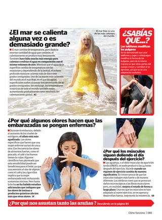 n Las agujetas, o eldolormusculardeaparición
tardía(DMAT),sesueleproduciralas24horas
despuésdelejercicio.Sucedecuandoun
régimendeejerciciocambiademanera
significativa.Esconsecuenciadequelos
músculostrabajenmásfuerteodemanera
diferente.Losmédicoscreenqueseprovocan
dañosmicroscópicosalasfibrasmusculares
pero,enrealidad,mejoraelestadodeformaa
largoplazo.Unavezquelosmúsculossehan
adaptadoalnuevoejercicio,serecuperany
desarrollanfuerza,mejorandolaresistencia. SB
¿Por qué los músculos
siguen doliendo el día
después del ejercicio?
n Elmarcambiadetemperatura,perodadala
enormecantidaddeaguaquecontiene,el
calentamientoseproducemuylentamente.
Tambiénhacefaltamuchamásenergíapara
calentaroenfriarelaguaencomparaciónconel
mismovolumendeaire.Mientrasqueelaguadela
superficiecambiadetemperaturaconlas
estacionesydependiendodelalatitud,elocéano
profundonuncasecalientamásdedosotres
gradoscentígrados.Unodelosmaresmáscalientes
delmundoeselmarRojo,enelquelasaguas
superficialessuelenalcanzarfrecuentementelos30
gradoscentígrados.Sinembargo,lastemperaturas
oceánicasdetodoelmundotambiénestán
aumentandogradualmentecomoresultadodel
calentamientoglobal. AC
¿El mar se calienta
alguna vez o es
demasiado grande? Los teléfonos modifican
los pulgares
Se ha demostrado que usar
teléfonos y jugar a videojuegos
modifica la forma de los
pulgares, pero de la misma
manera en que otras partes del
cuerpo crecen y cambian si se
ejercitan, así que no es una
adaptación evolutiva.
El mar Rojo es uno
de los más calientes
del mundo.
¿Por qué algunos olores hacen que las
embarazadas se pongan enfermas?
n Duranteelembarazo,debido
alaumentodelosnivelesde
estrógeno,elolfatoestámás
agudizado.Losolores
específicosquehacenqueuna
mujerenfermevaríandeunaa
otra.Confrecuencialosolores
dealimentosfuertes,comoel
pescado,elcaféoloshuevos
tienenlaculpa.Algunos
científicoshanplanteadoque
estasensibilidadpuedeser
beneficiosaparaelbebé,yaque
unaaversiónalolordeobjetos
comoelcaféyloscigarrillos
implicaquelamujer
embarazadaestárechazando
sustanciasnocivas.Perohasta
lafechanohahabidoestudios
adicionalesqueindiquenque
losoloresdetoxinaso
productosquímicosafecten
másqueotrosolores. SF
Cómo funciona | 083
¿SABíAS
quE...?
¿Porquénosasustantantolasarañas?Descúbrelo en la página 84
 