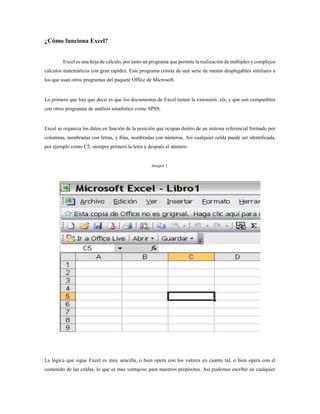 ¿Cómo funciona Excel?
Excel es una hoja de cálculo, por tanto un programa que permite la realización de múltiples y complejos
cálculos matemáticos con gran rapidez. Este programa consta de una serie de menús desplegables similares a
los que usan otros programas del paquete Office de Microsoft.
Lo primero que hay que decir es que los documentos de Excel tienen la extensión .xls, y que son compatibles
con otros programas de análisis estadístico como SPSS.
Excel se organiza los datos en función de la posición que ocupan dentro de un sistema referencial formado por
columnas, nombradas con letras, y filas, nombradas con números. Así cualquier celda puede ser identificada,
por ejemplo como C5, siempre primero la letra y después el número.
Imagen 1.
La lógica que sigue Excel es muy sencilla, o bien opera con los valores en cuanto tal, o bien opera con el
contenido de las celdas, lo que es mas ventajoso para nuestros propósitos. Así podemos escribir en cualquier
 