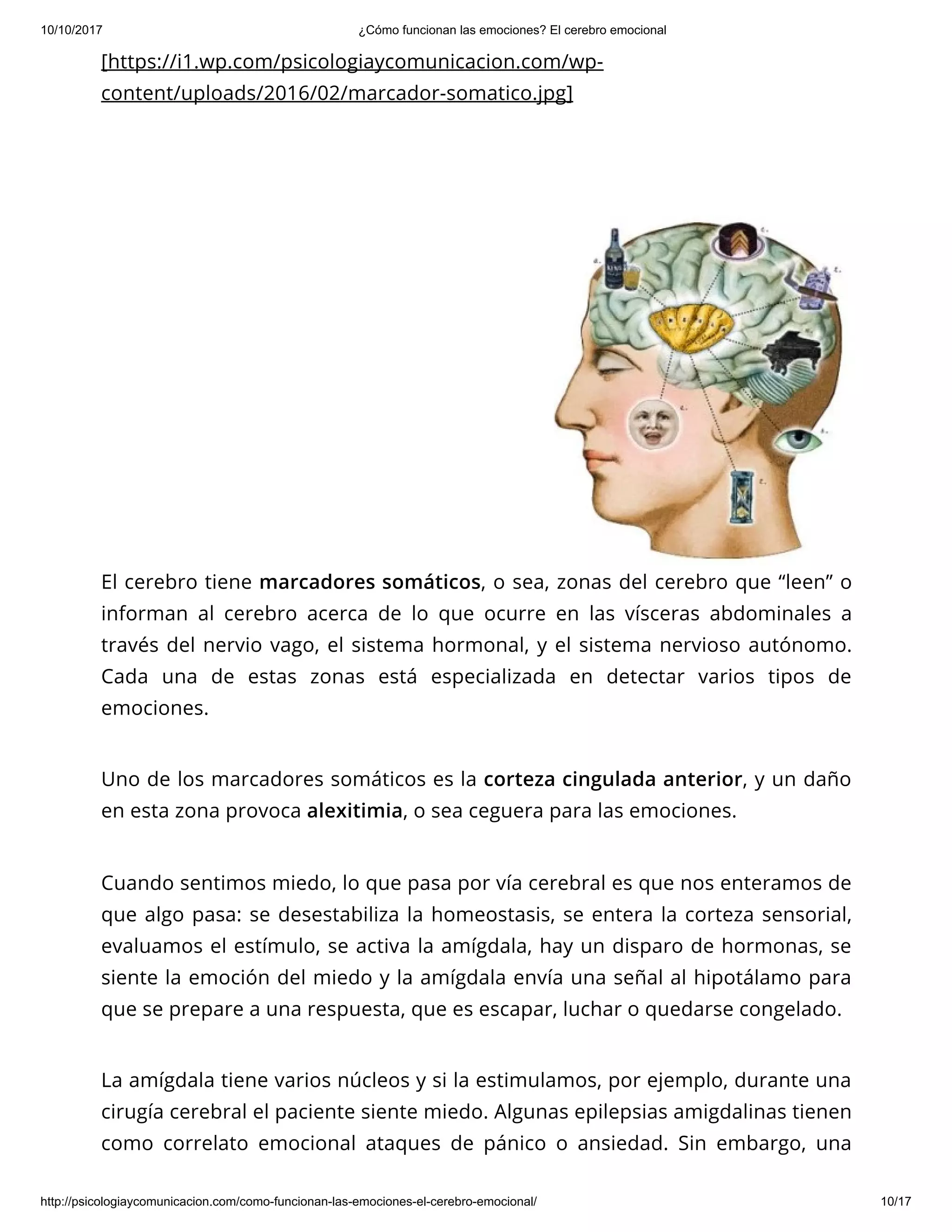 ¿Cómo funcionan las emociones el cerebro emocional ? | PDF