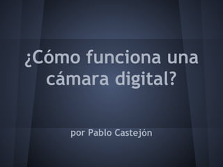 ¿Cómo funciona una
  cámara digital?

    por Pablo Castejón
 
