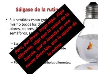 • Sus sentidos están grabando lo
  mismo todos los días, los mismos
  olores, colores, figuras, personas,
  semáforos, sonidos…

   –   Escuche emisoras diferentes
   –   Coma algo distinto en el restaurante
   –   Seleccione rutas alterna
   –   Lea un libro extraño
   –   Palpe la corteza de 3 árboles diferentes.
 