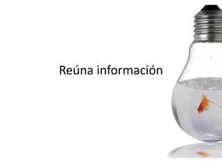 Reúna información
 