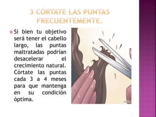  Si bien tu objetivo
será tener el cabello
largo, las puntas
maltratadas podrían
desacelerar el
crecimiento natural.
Córtate las puntas
cada 3 a 4 meses
para que mantenga
en su condición
óptima.
 
