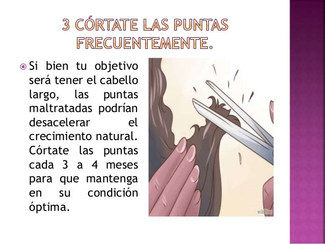 Las máscaras para los cabellos con el aceite de bardana para las puntas secas