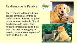 Realismo de la Palabra
Quien conoce la Palabra divina
conoce también el sentido de
cada criatura… Realista es quien
reconoce en el Verbo de Dios el
fundamento de todo… Que
nuestro corazón diga cada día a
Dios: “Tú eres mi refugio y mi
escudo, yo espero en tu palabra”
(Sal 119,114) (n. 10).
 