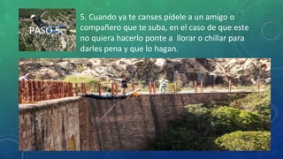 PASO 5
5. Cuando ya te canses pídele a un amigo o
compañero que te suba, en el caso de que este
no quiera hacerlo ponte a llorar o chillar para
darles pena y que lo hagan.
 