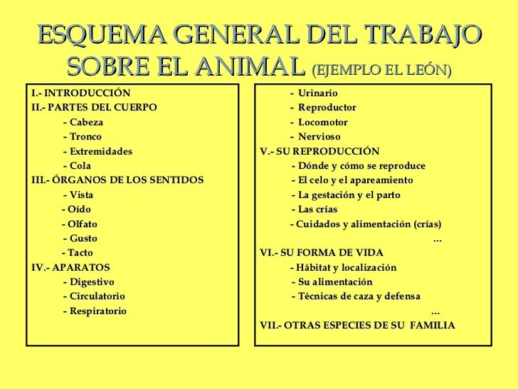 CóMo Hacer Un Trabajo MonográFico (Trabajo Del Animal)