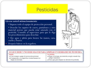 Pesticidas

Lávese usted minuciosamente
  • Sáquese todo el equipo de protección personal.
  • Deseche los zapatos de cuero, pantalones y otro
  material poroso que pueda estar saturado con el
  pesticida. Consulte al supervisor para que le diga
  los procedimientos para desechar.
  • Use agua y jabón para lavarse las manos, cara,
  cuello y brazos.
 Después báñese en la regadera.
 
