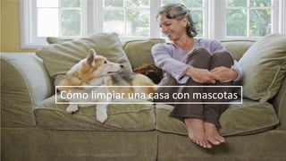 Cómo limpiar una casa con mascotas
 