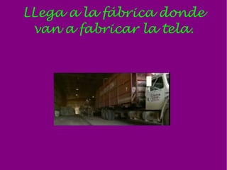 LLega a la fábrica donde
 van a fabricar la tela.
 