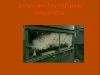 Se sacan las últimas
     basuritas.
 