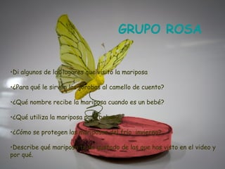 GRUPO ROSA


•Di algunos de los lugares que visitó la mariposa

•¿Para qué le sirven las jorobas al camello de cuento?

•¿Qué nombre recibe la mariposa cuando es un bebé?

•¿Qué utiliza la mariposa para beber?

•¿Cómo se protegen las mariposas del frío invierno?

•Describe qué mariposa te ha gustado de las que has visto en el video y
por qué.
 