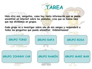 TAREA
 Hola otra vez, amiguitos, como hay tanta información que se puede
 encontrar en internet sobre los animales, creo que es buena idea
 que nos dividamos en grupos.

 Cada grupo va a investigar sobre uno de mis amigos y responderá a
 todas las preguntas que pueda encontrar. ¡Adelanteeeee!



    GRUPO TONO               GRUPO RAFA               GRUPO ROSA




GRUPO JOHNNY CAR             GRUPO RAMÓN            GRUPO MARI MAR
 