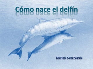 Cómo nace el delfín
Martina Cano García
 