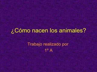 ¿Cómo nacen los animales? Trabajo realizado por  1º A 