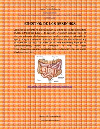 Curso: 8°A
Escuela Primitiva Echeverría
4
Nombre: Pía Fernanda Pardo
Profesora: Hortencia Soto
https://encrypted-
tbn3.gstatic.com/images?q=tbn:ANd9GcSBEDo91x0Sxa7nUTPojKLzjP6_1u9yrHKKG28-
I_wT2KhOLMJJ
egestión de los desechos
Los restos de alimento no digerido siguen su camino por tramos delintestino
grueso, a través del proceso de egestión. En primer lugar,los restos no
digeridos suben por el colon ascendente, donde seproduce la reabsorción de
agua y de algunos elementos. Además enel colon se absorbe la vitamina K y
el ácido fólico.Los restos continúan por el colon transverso y bajan por el
colondescendente, donde se almacenan en forma de heces
fecales.Finalmente, para ser expulsadas, las heces llegan al recto, que seabre
al exterior por el ano.
http://www.cepvi.com/medicina/imagen/intestino4.jpg
 