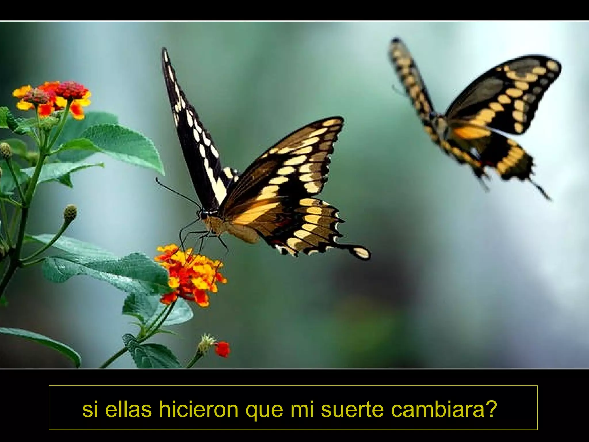 si ellas hicieron que mi suerte cambiara?