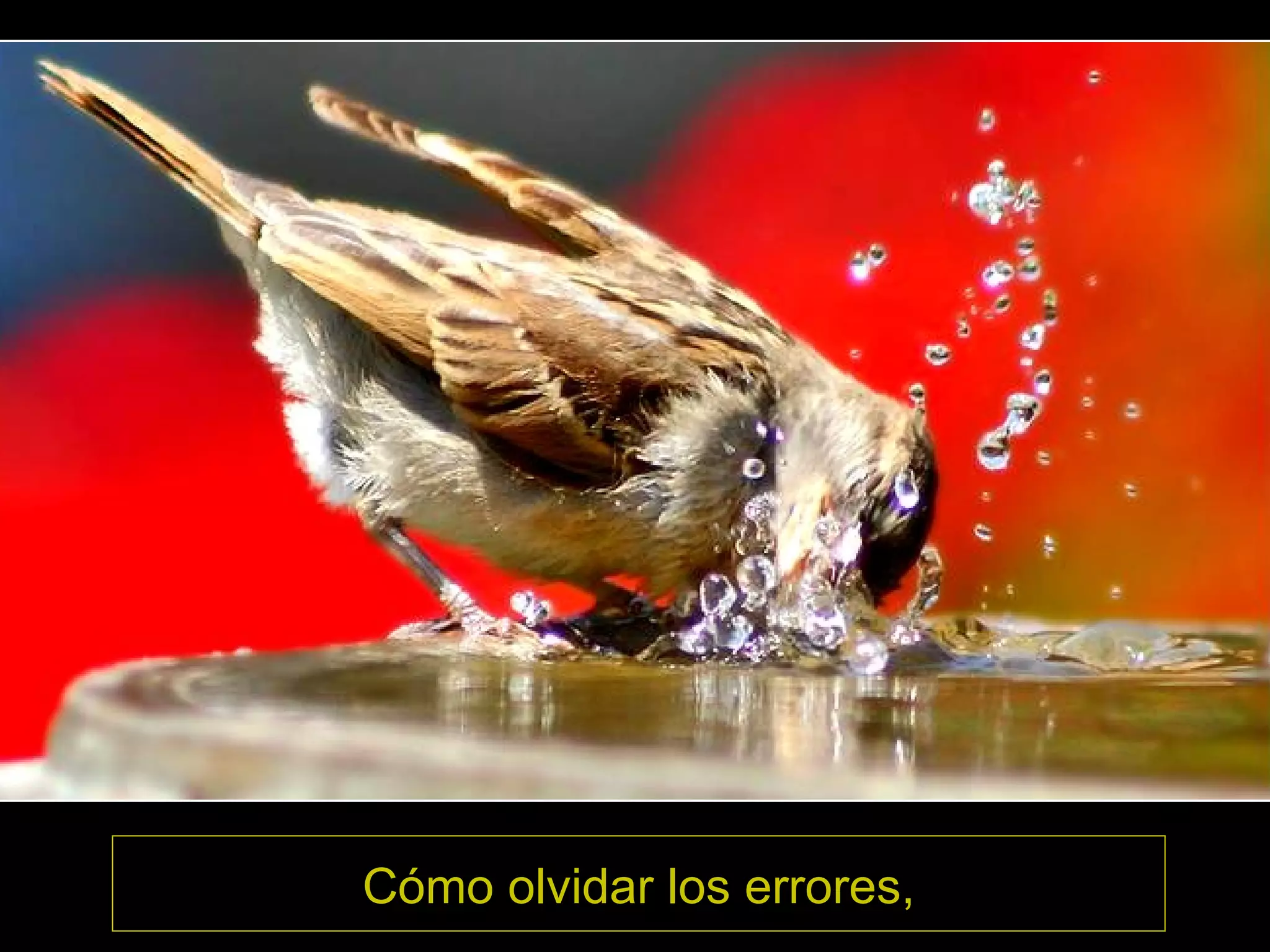 Cómo olvidar los errores,