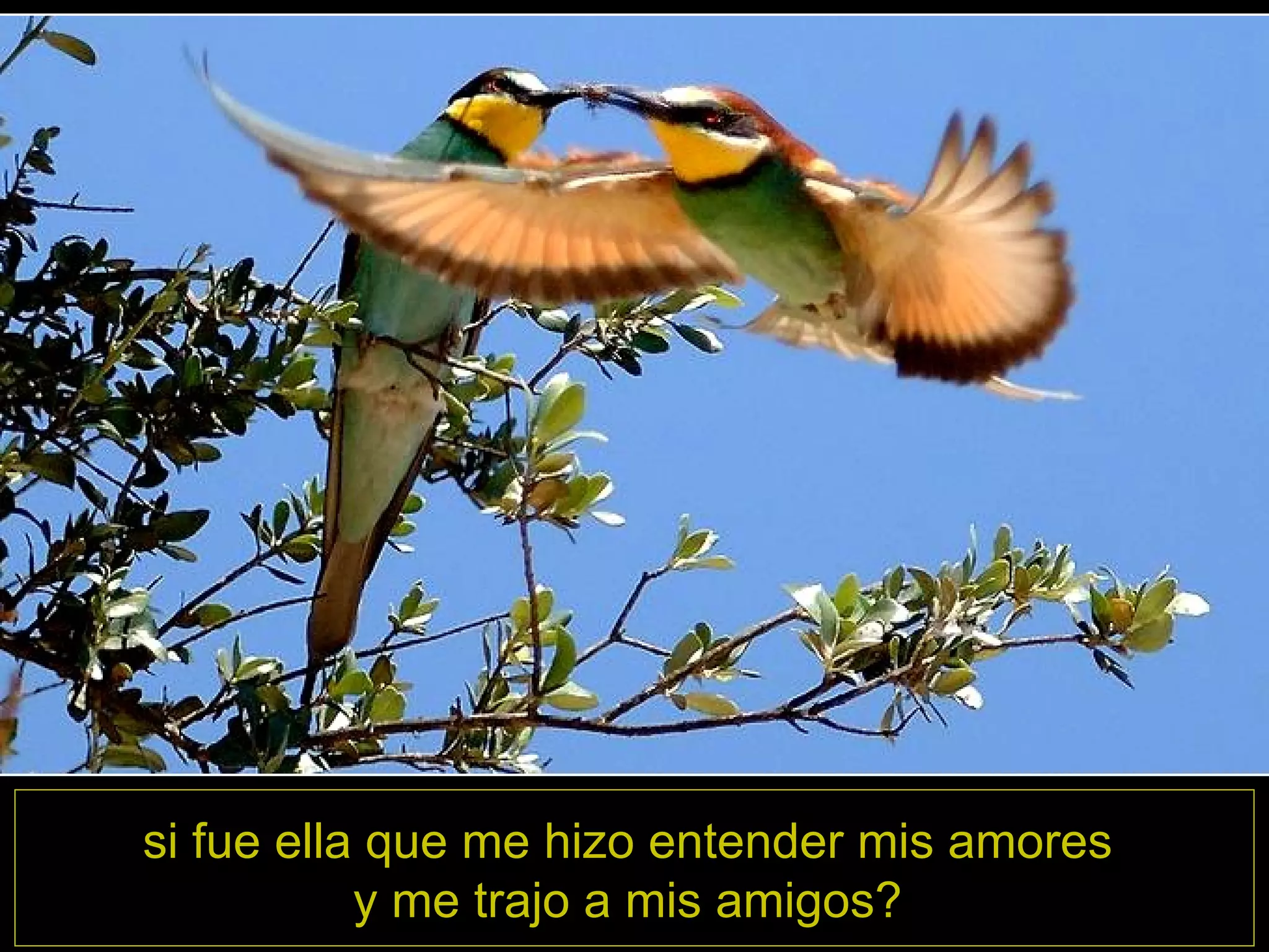 si fue ella que me hizo entender mis amores y me trajo a mis amigos?