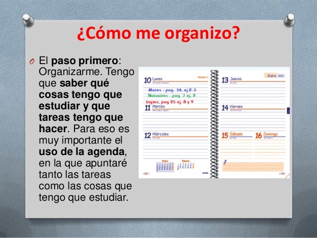 Cómo organizar el estudio en casa