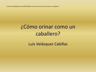 ¿Cómo orinar como un
caballero?
Luis Velásquez Cabillas
Fuente: http://pijamasurf.com/2014/06/la-ciencia-te-dice-como-orinar-como-un-caballero/
 
