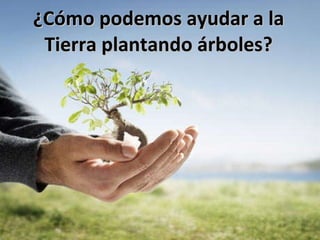 ¿Cómo podemos ayudar a la Tierra plantando árboles? 