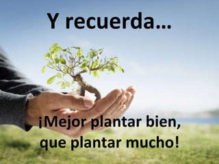Y recuerda… ¡Mejor plantar bien, que plantar mucho! 