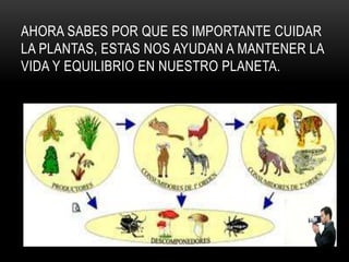AHORA SABES POR QUE ES IMPORTANTE CUIDAR
LA PLANTAS, ESTAS NOS AYUDAN A MANTENER LA
VIDA Y EQUILIBRIO EN NUESTRO PLANETA.
 