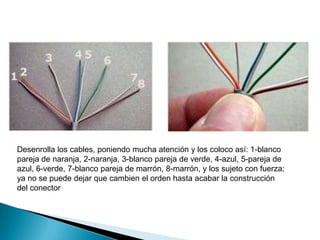 Desenrolla los cables, poniendo mucha atención y los coloco así: 1-blanco
pareja de naranja, 2-naranja, 3-blanco pareja de verde, 4-azul, 5-pareja de
azul, 6-verde, 7-blanco pareja de marrón, 8-marrón, y los sujeto con fuerza;
ya no se puede dejar que cambien el orden hasta acabar la construcción
del conector
 