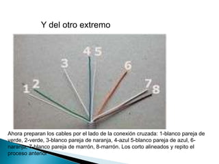 Y del otro extremo




Ahora preparan los cables por el lado de la conexión cruzada: 1-blanco pareja de
verde, 2-verde, 3-blanco pareja de naranja, 4-azul 5-blanco pareja de azul, 6-
naranja, 7-blanco pareja de marrón, 8-marrón. Los corto alineados y repito el
proceso anterior
 