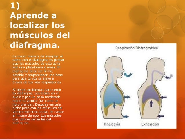 Como Aprender A Cantar Con El Diafragma