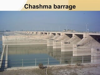 Chashma barrage
 