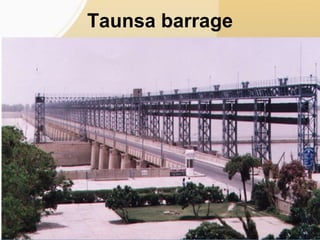 Taunsa barrage
 