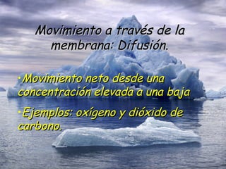 Movimiento a través de la membrana: Difusión. Movimiento neto desde una concentración elevada a una baja Ejemplos: oxígeno y dióxido de carbono. 