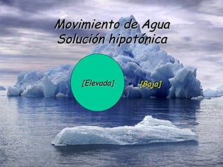 [Elevada] [Baja] Movimiento de Agua Solución hipotónica 