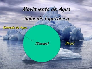 Movimiento de Agua Solución hipotónica [Elevada] [Baja] Entrada de Agua 
